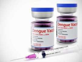 La Vacuna contra el dengue sigue en estudio