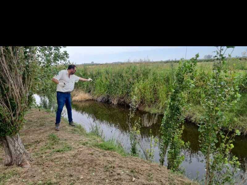 Aplicación de larvicidas en puntos críticos del pueblo