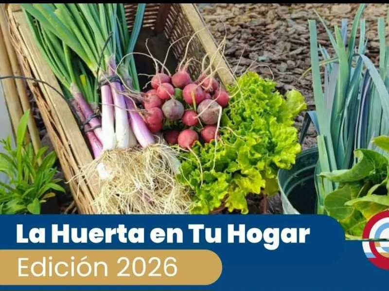 La huerta en tu hogar: Inscripciones abiertas