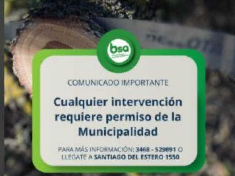 Normativa sobre arbolado público